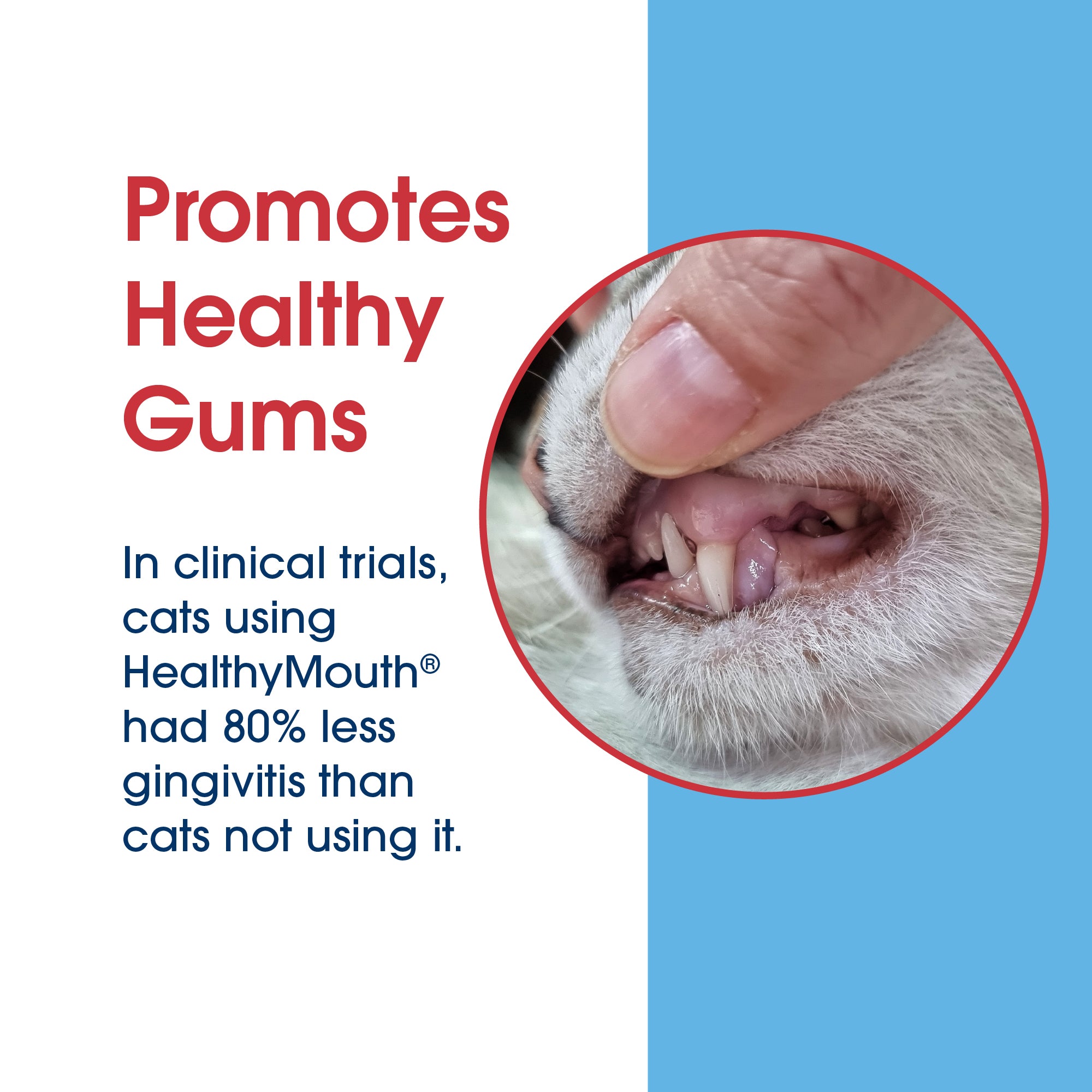 HealthyMouth® Water Additive for Cats