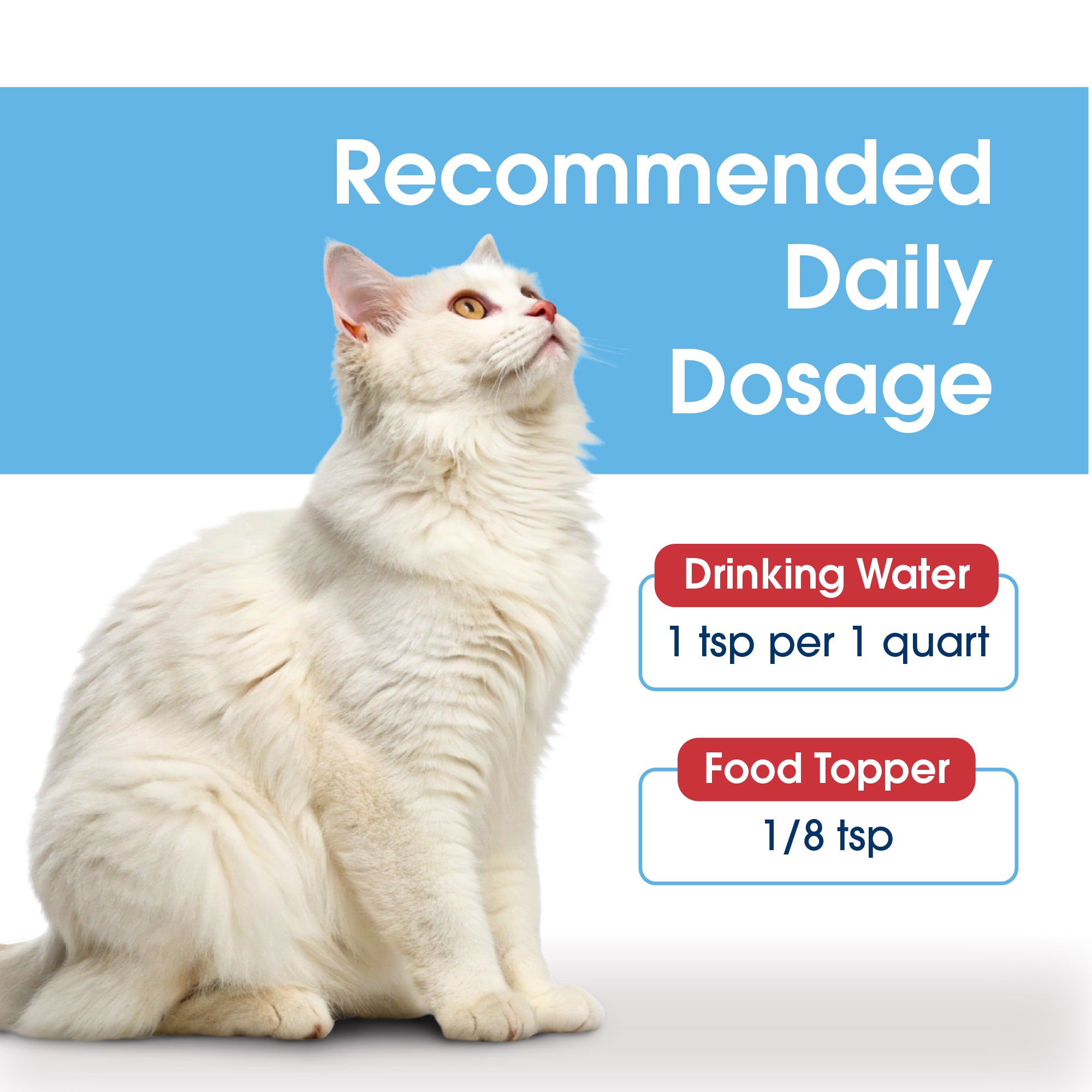 HealthyMouth® Water Additive for Cats