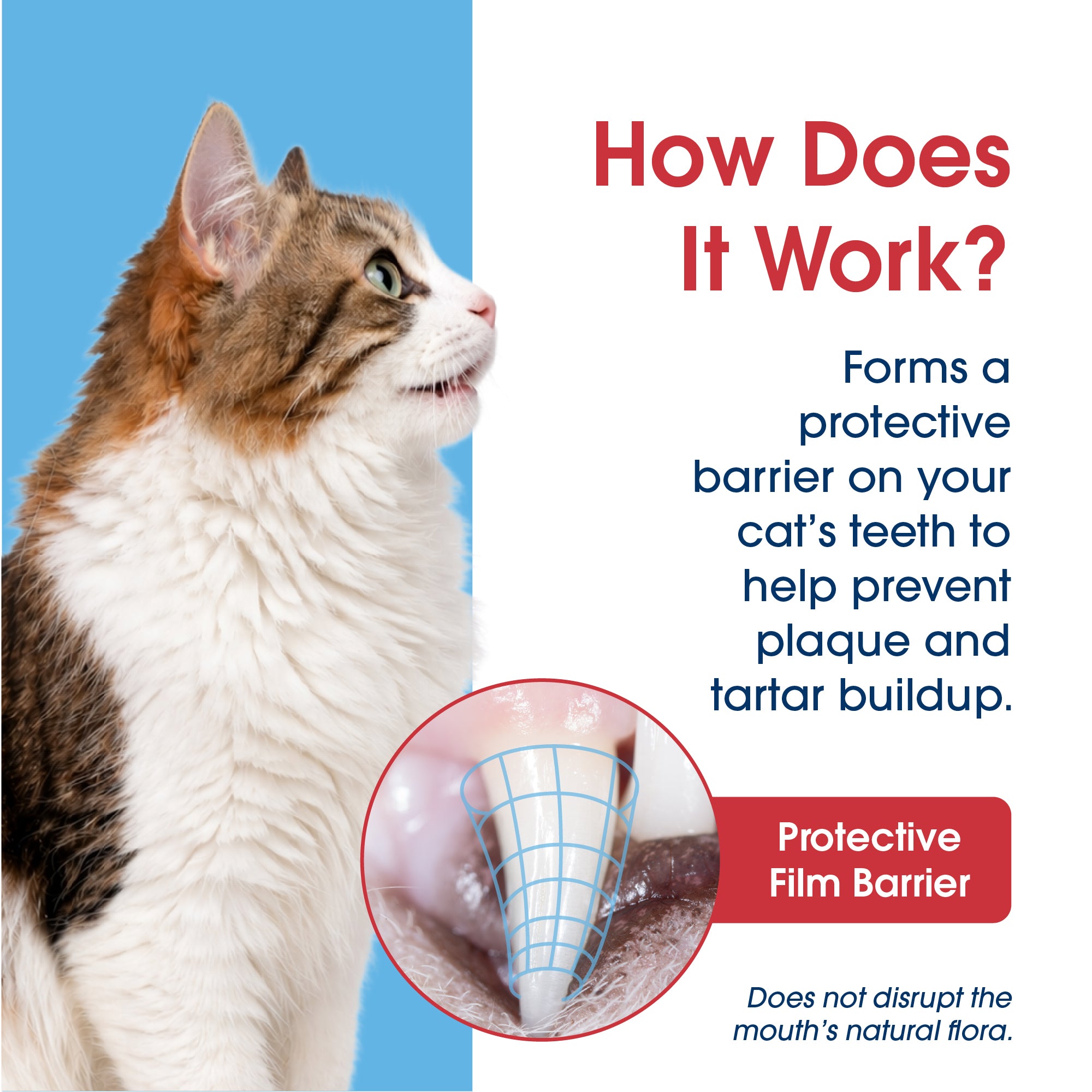 HealthyMouth® Water Additive for Cats