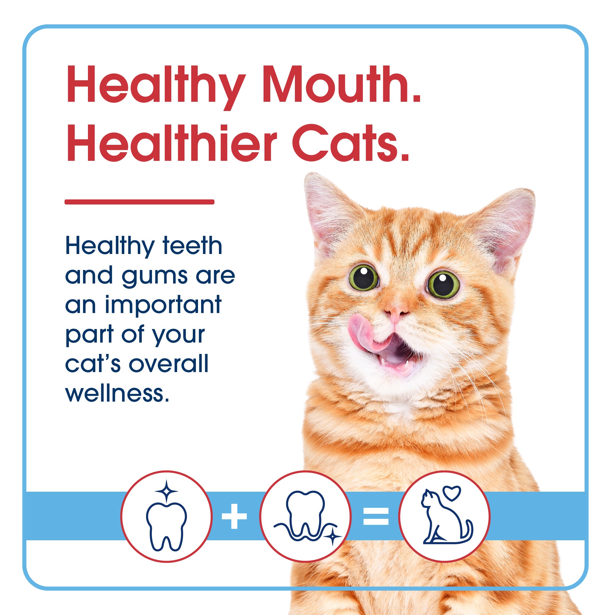 HealthyMouth® Water Additive for Cats
